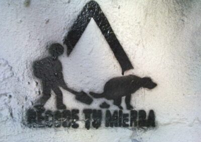RESETEO DOG