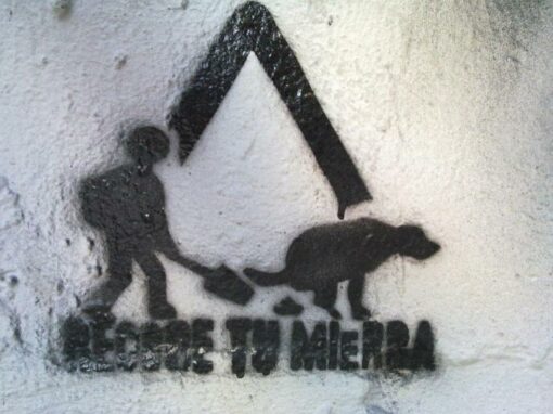 RESETEO DOG